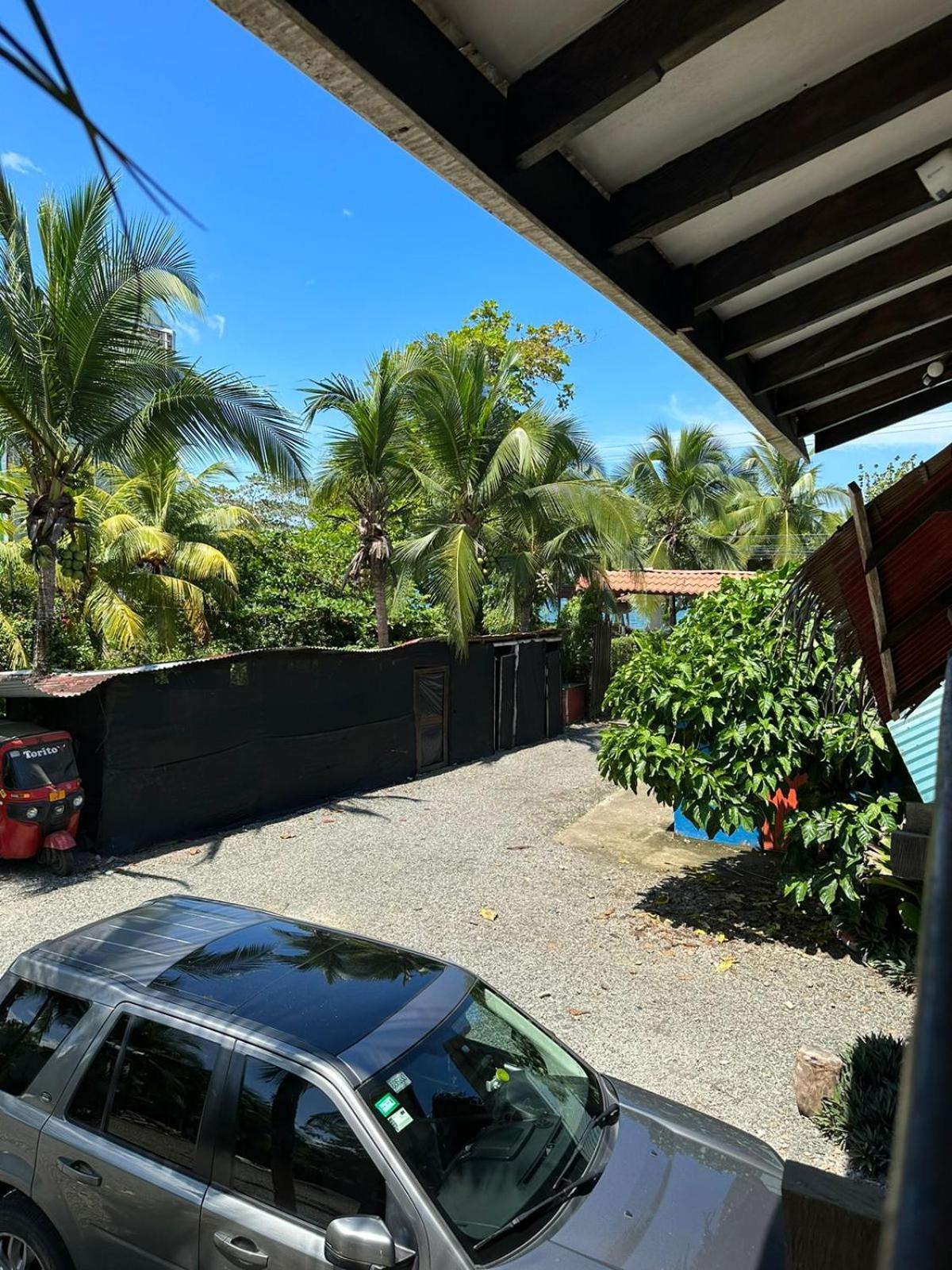 Playa Negra Brewing Beachfront Hotel Puerto Viejo de Talamanca Eksteriør billede